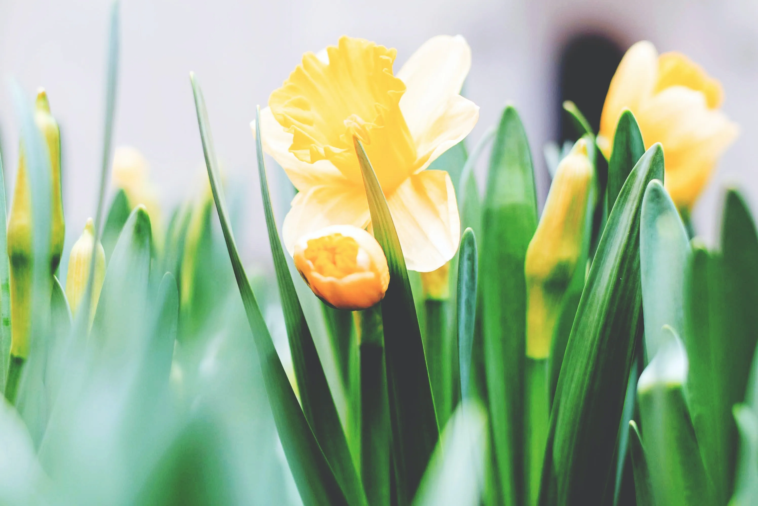 tim gouw 4l9qmfimnni unsplash