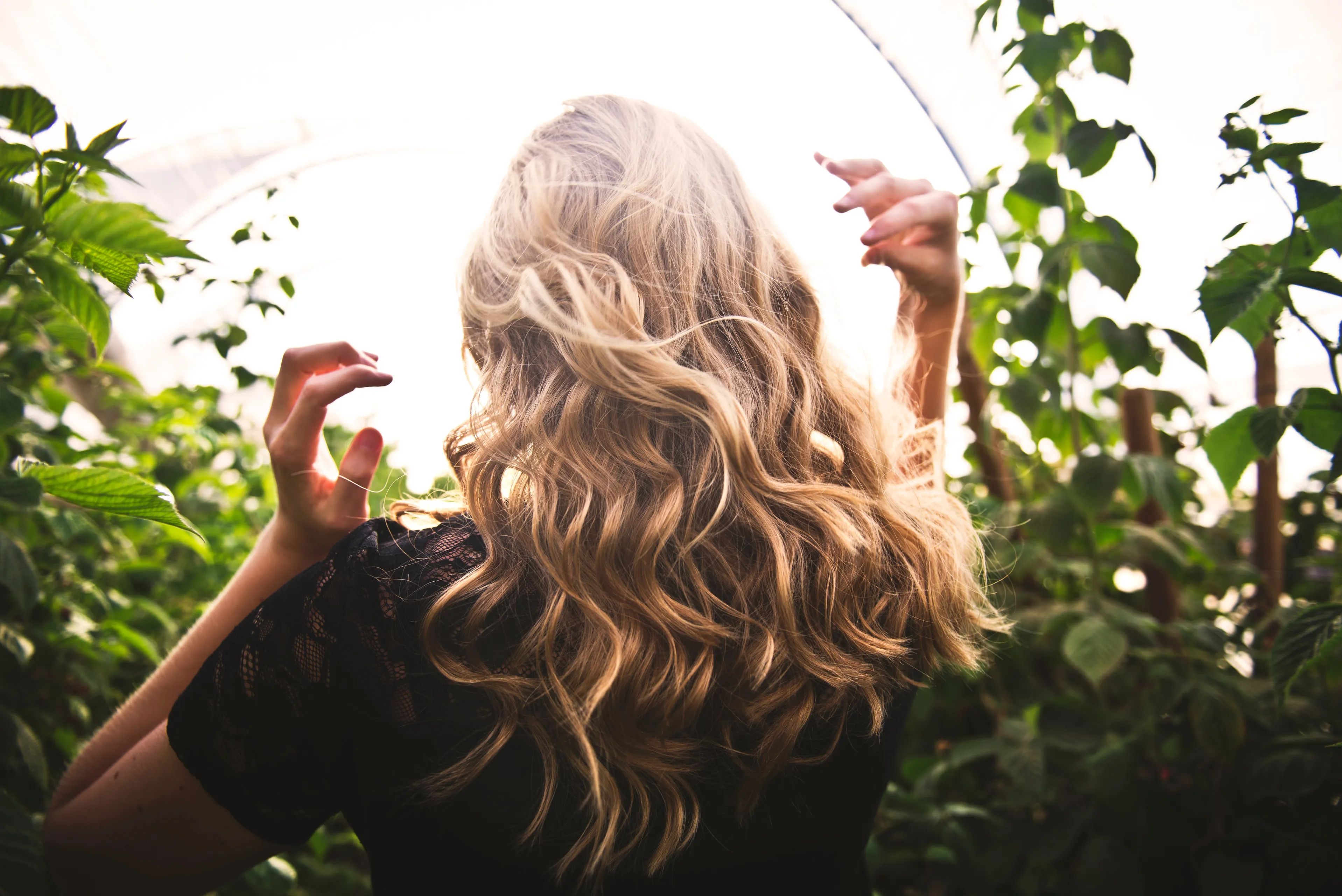 tim mossholder arqiwcmola8 unsplash