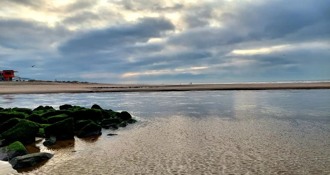 tineke bos brink katwijk aan zee