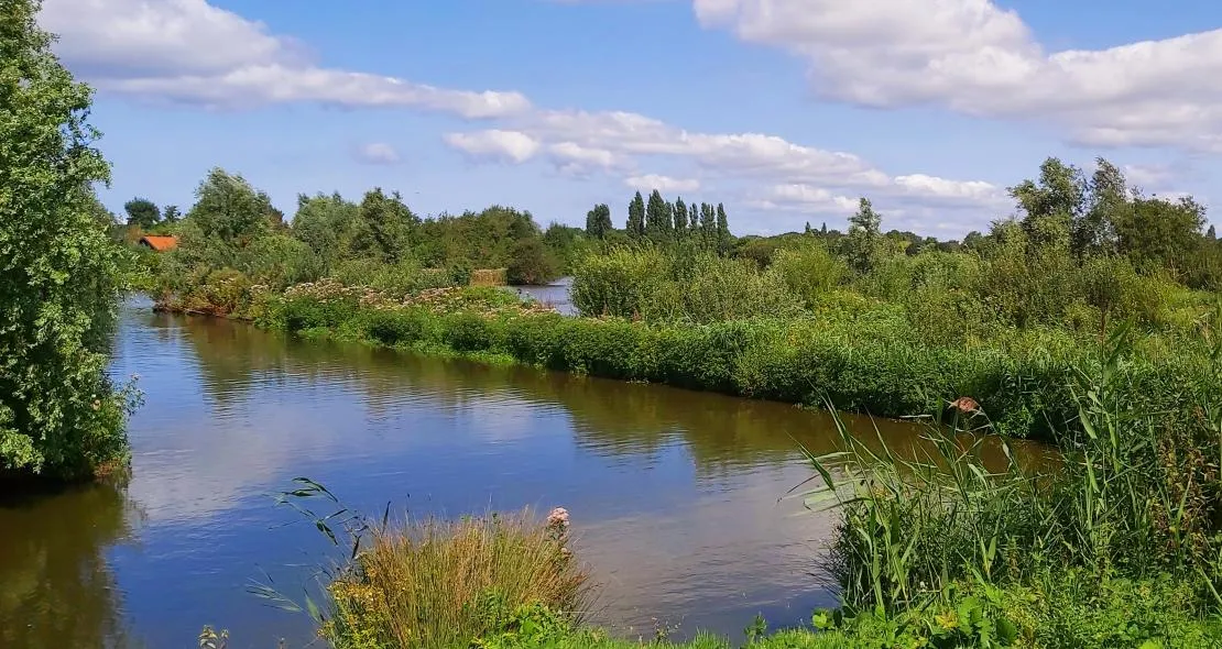 tineke bos brink oegstgeest