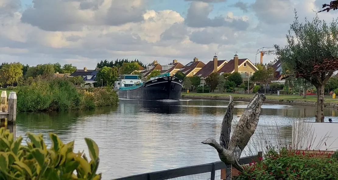 tineke bos brink rijnsburg