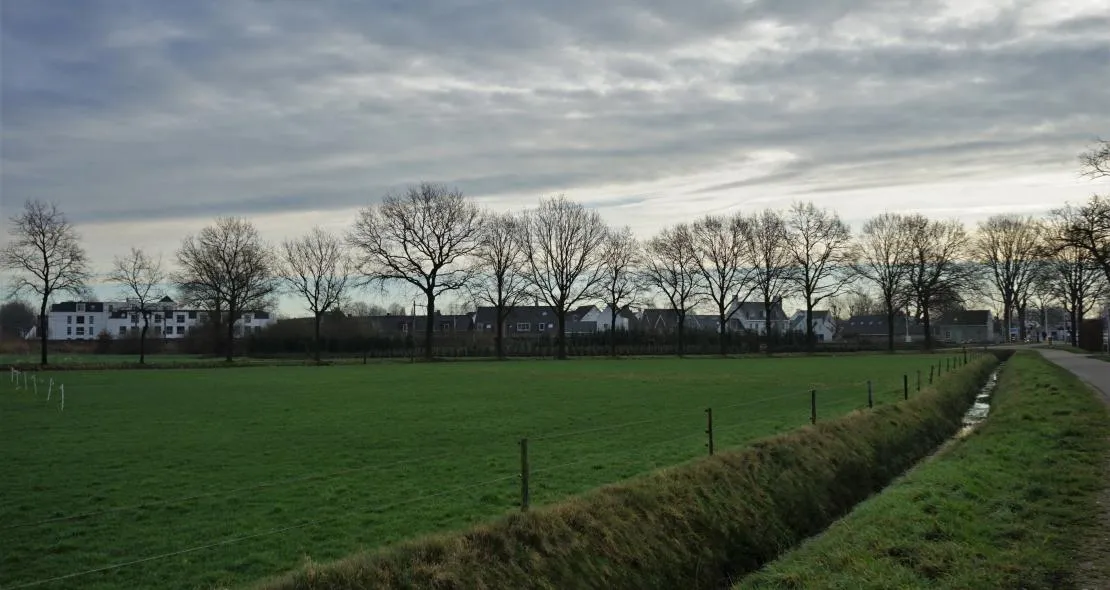 toon boons berkel enschot 1