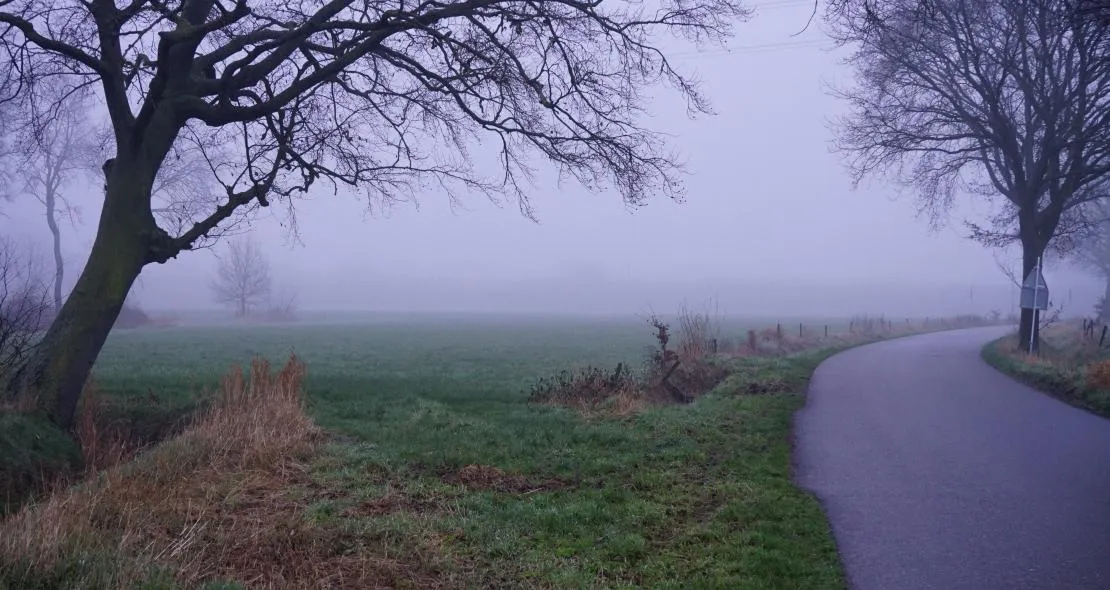 toon boons berkel enschot