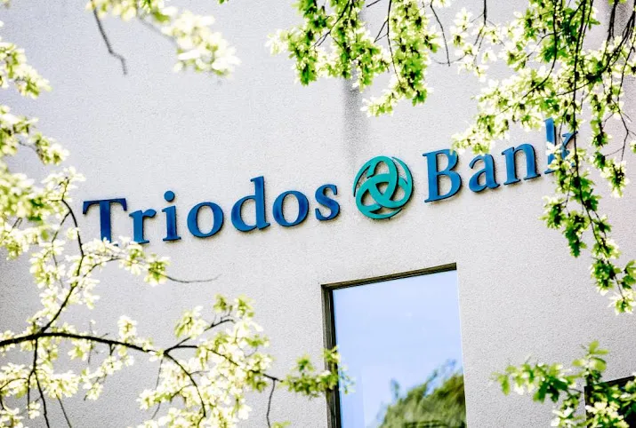 triodos krikt winst op met meevaller
