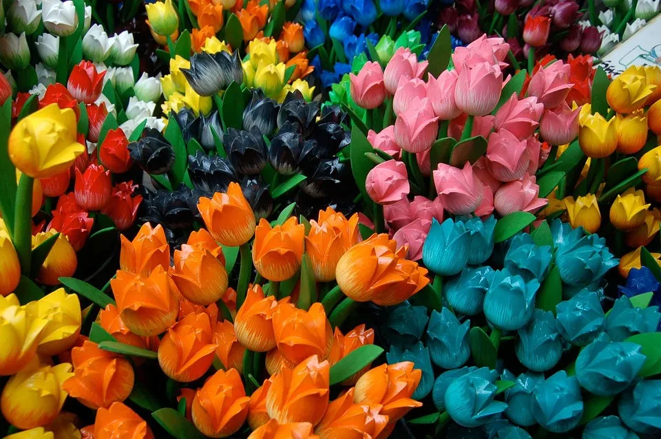 tulips 2849 960 720