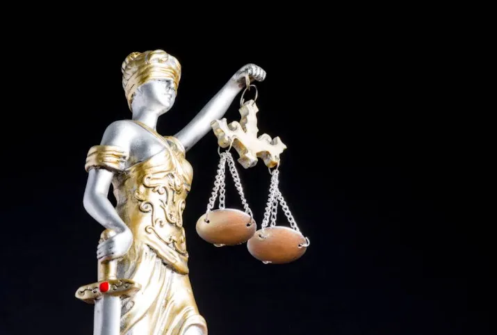 vader toch veroordeeld voor zoutzuurmoorden