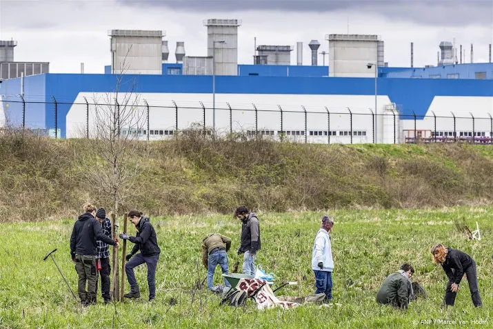 vdl nedcar over verdwenen bomen sterrebos zorgvuldig verpoot