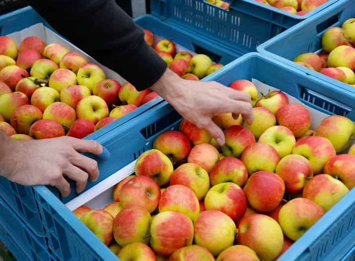 veel animo doorstart fruittransporteur mooy