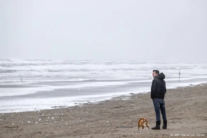 veel zand van duinen geslagen door storm corrie en hoogwater
