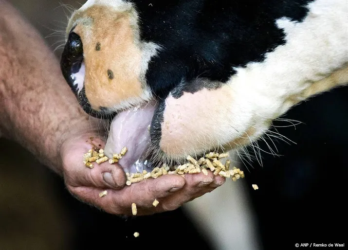 veevoerbedrijf forfarmers wil branchegenoot van triest overnemen