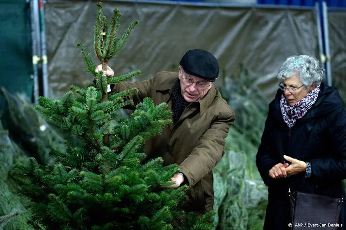 verkopers nederland haalt eerder kerstboom en versiering in huis