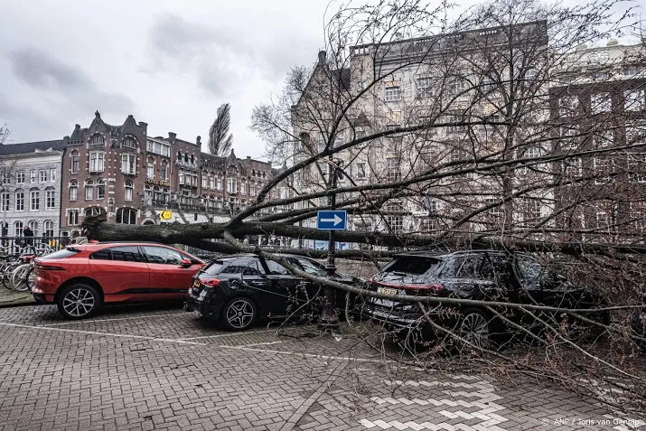 verzekeraars aantal meldingen stormschade lijkt mee te vallen