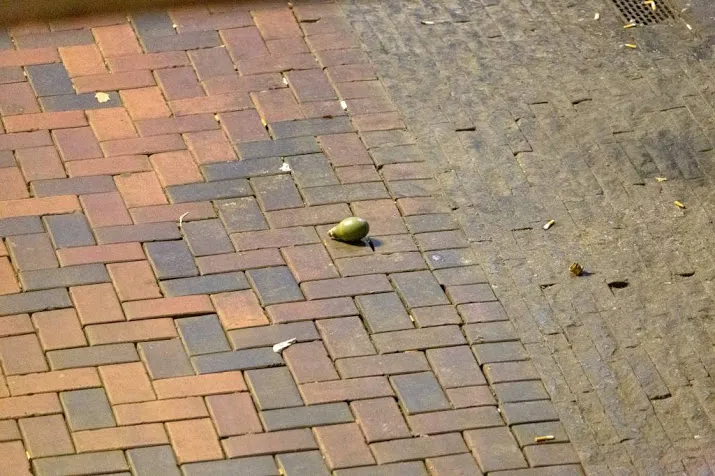 vijf jaar cel voor aanslag met handgranaat
