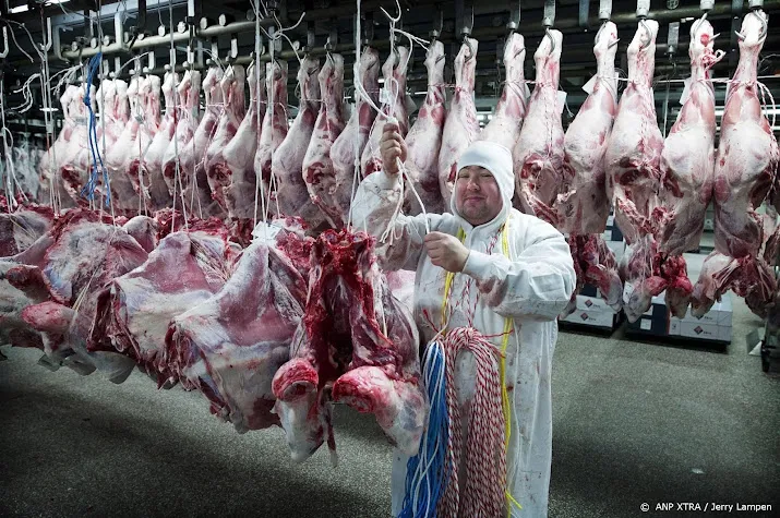 vleessector voorziet weinig impact chinese importban om blauwtong