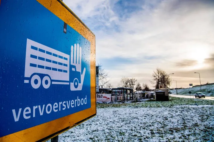 vogelgriep bij pluimveebedrijf in oldekerk