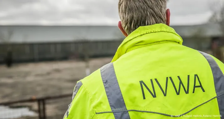 vogelgriep leidt tot nieuwe zorgen voor pluimveesector