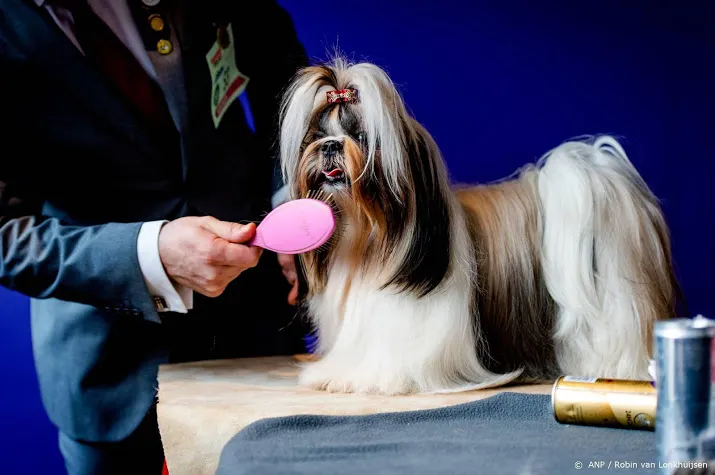 voorlopig geen onderzoek naar betasten teefjes