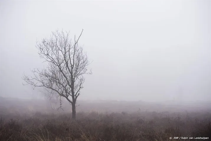 waarschuwing voor dichte mist in zuiden en zuidwesten