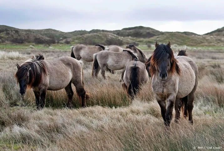 waddeneilanden voorlopig niet op slot voor toeristen