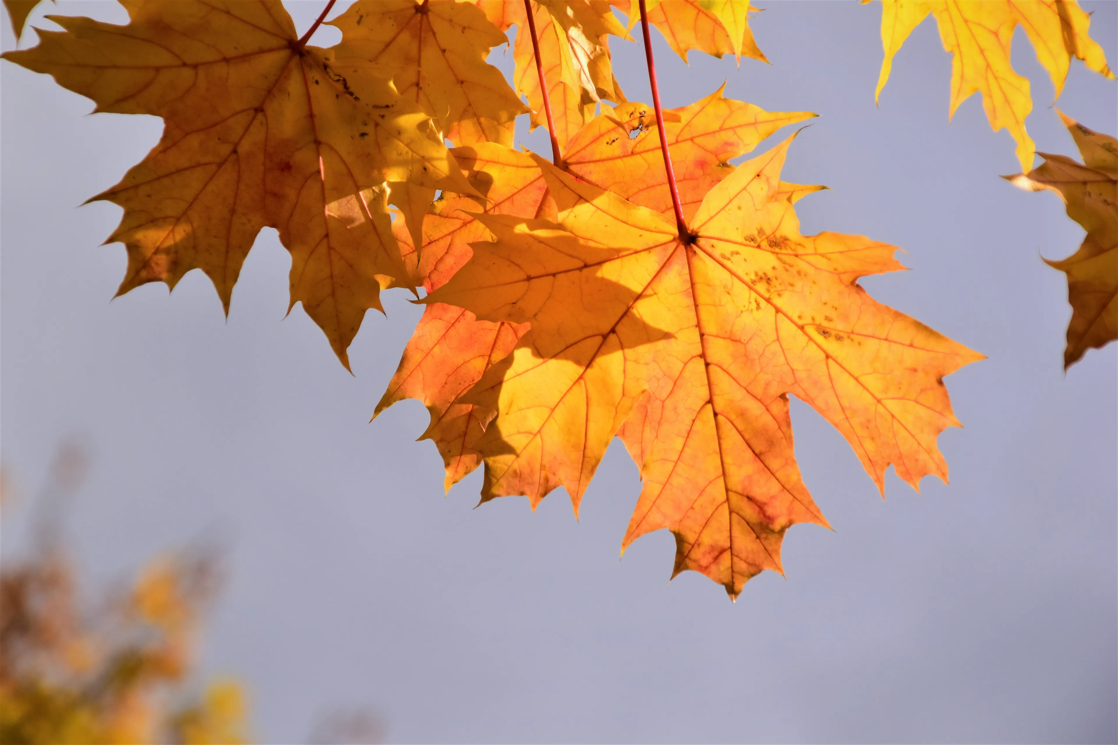waldemar brandt m f td8pld4 unsplash