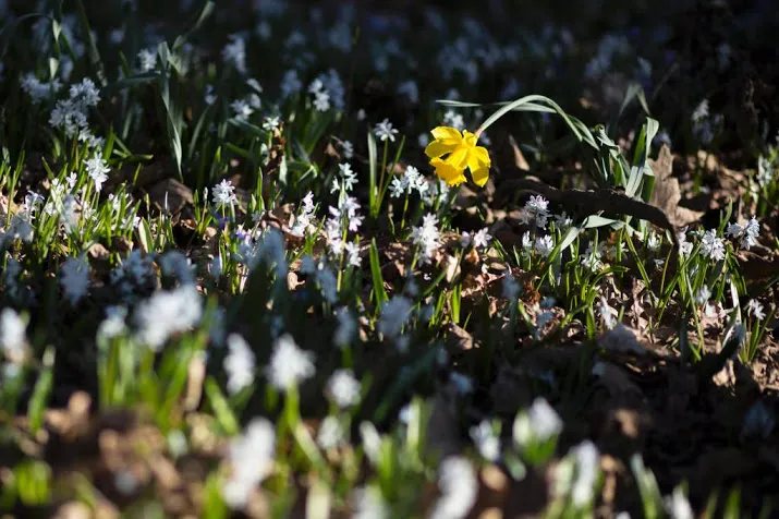 warmste 8 april ooit gemeten