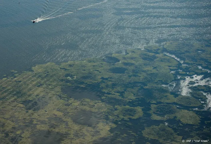 waterschap pompt vers water in veluwemeer