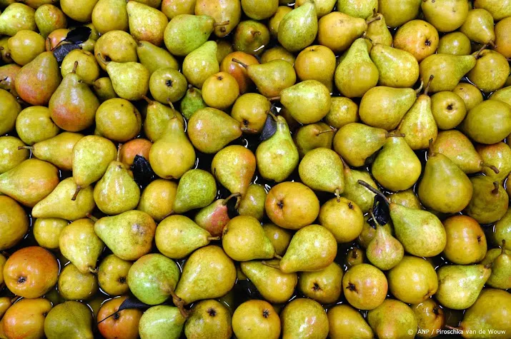 weer meer nederlandse peren na slecht jaar door vorst