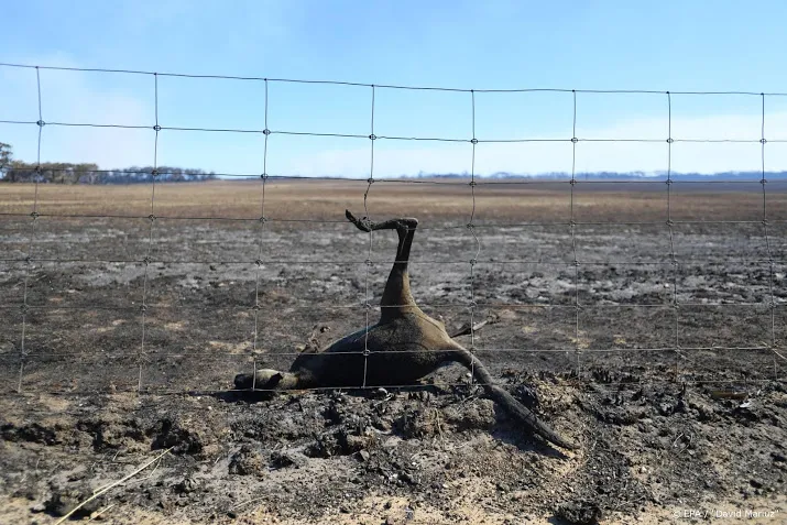 wereld natuur fonds begint actie voor dieren in australie