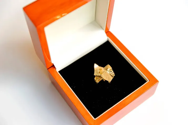 wie wint de gouden televizier ring