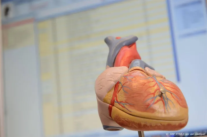 ziekenhuis neemt maatregelen tegen sjoemelende cardiologen