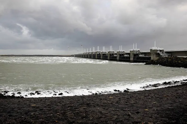 zware algenbloei in oosterschelde
