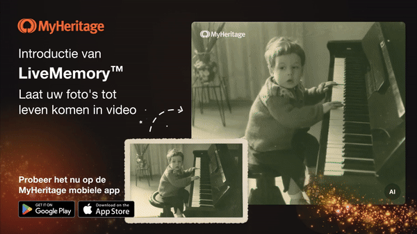 dutch feature image gif