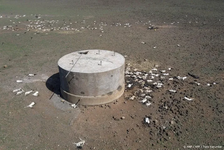 anp061224074 1