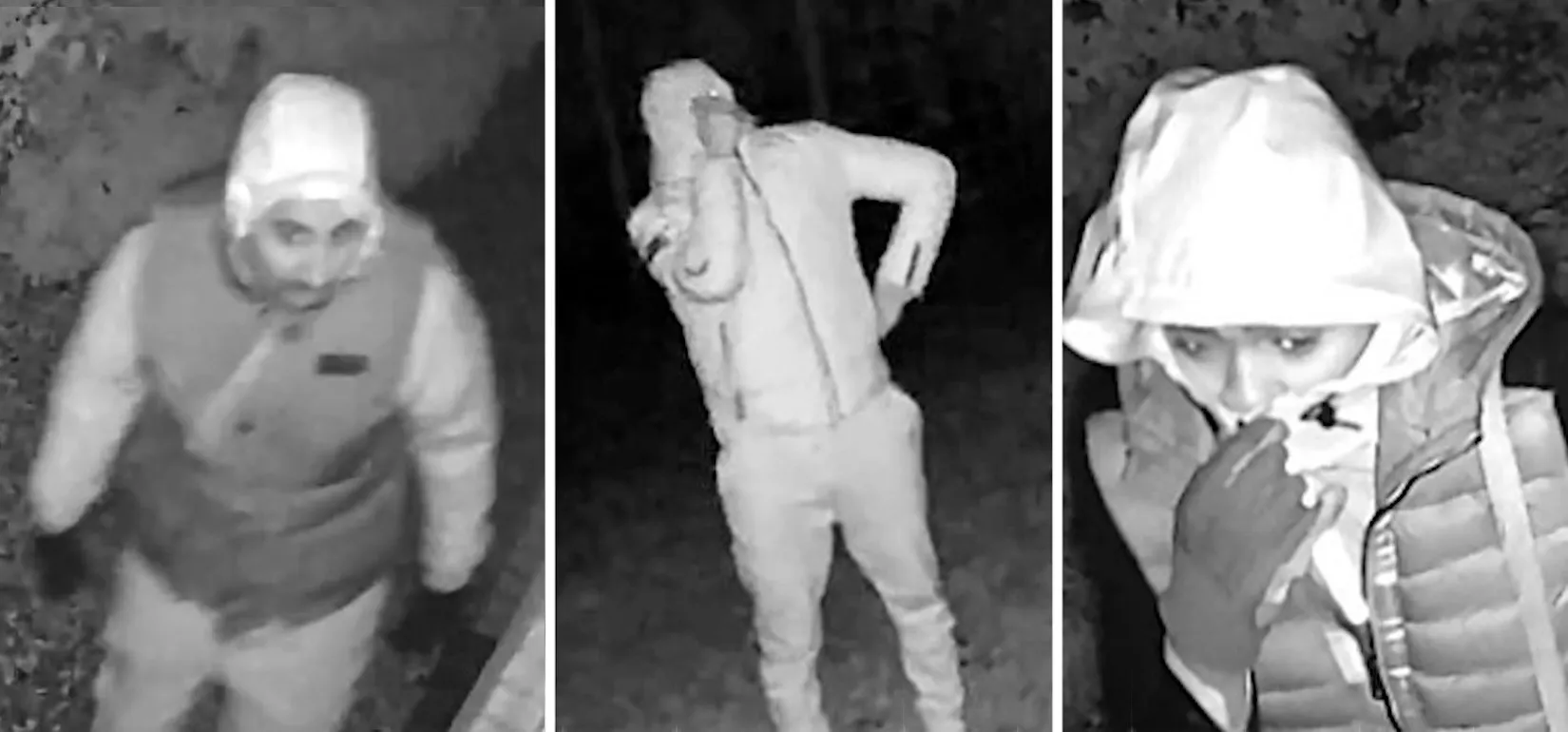 drieluik 3x ve woninginbraak de slenk gemert