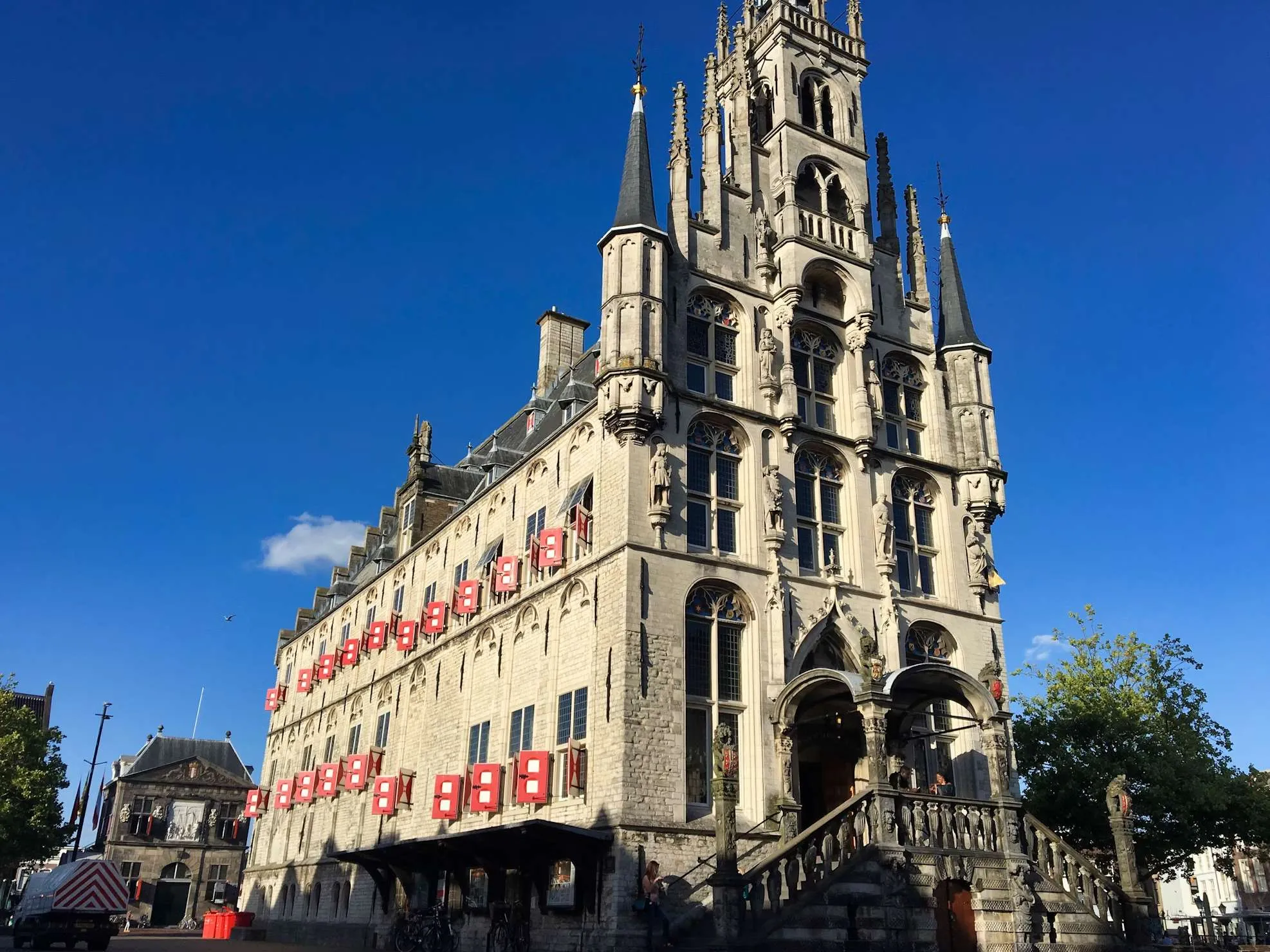 gouda
