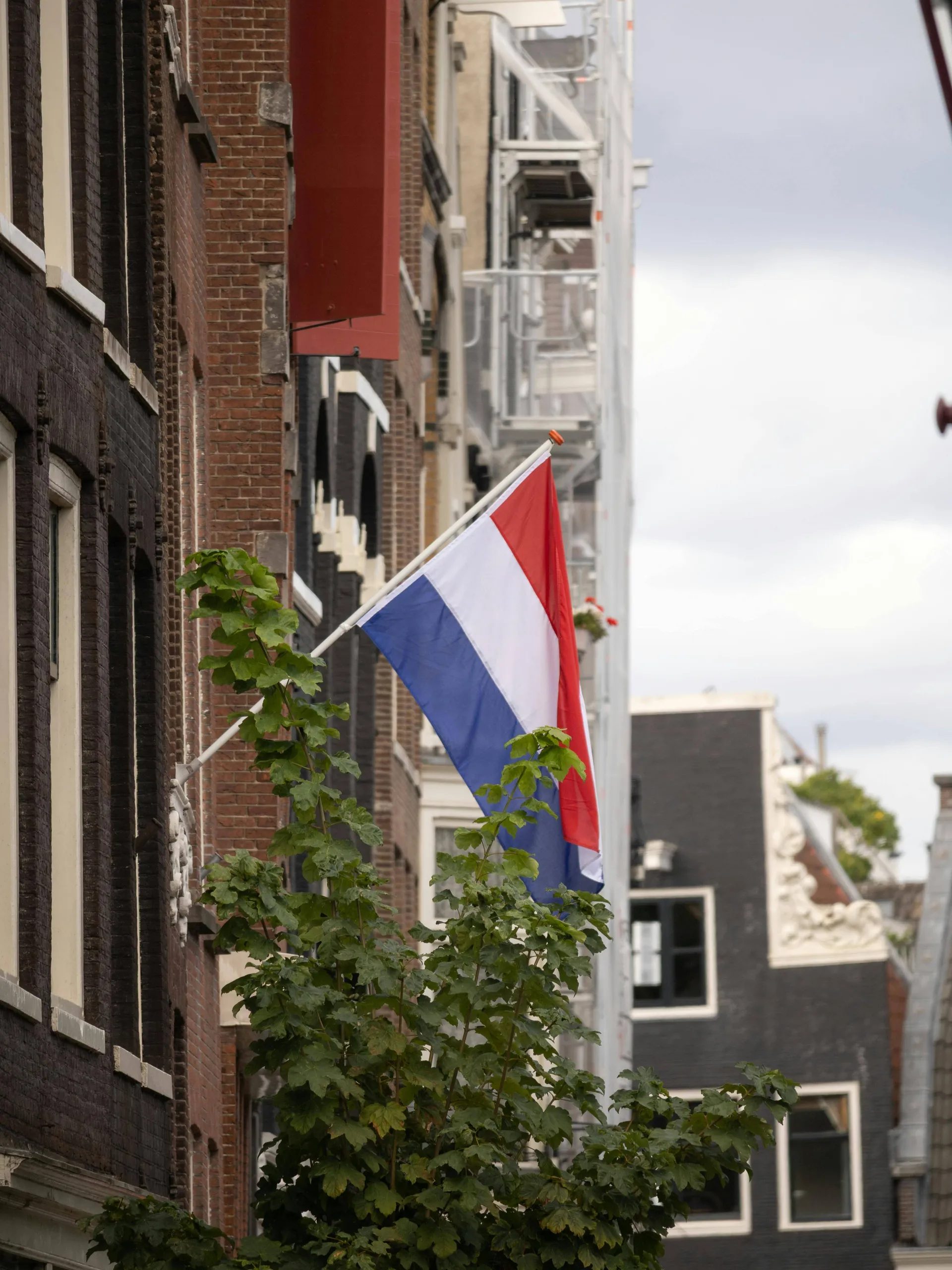 pexels-photo-34611579