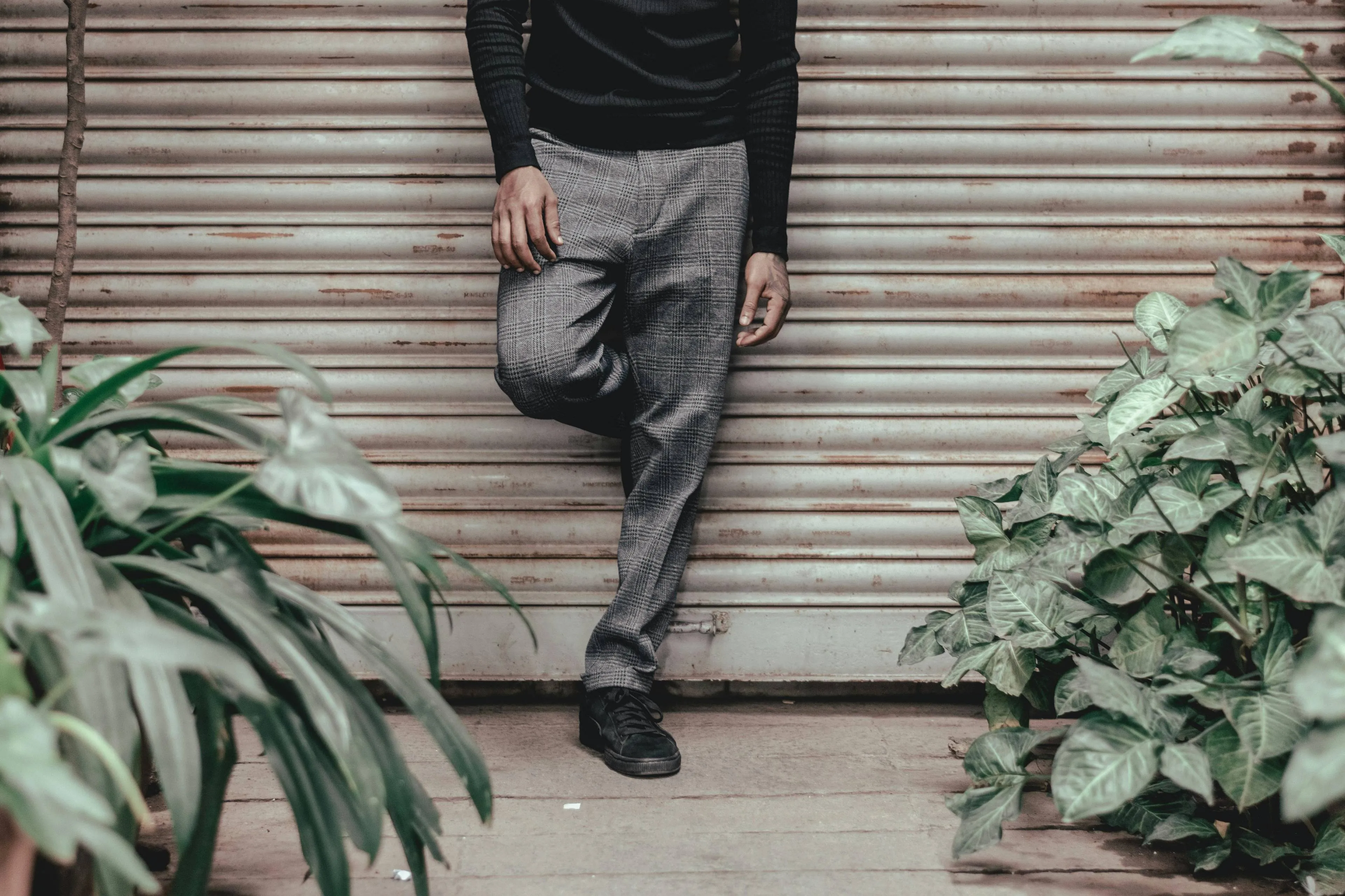 pexels-prayoon-sajeev-1486107-2897539