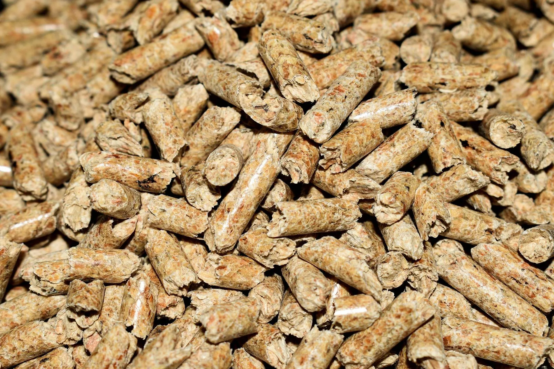 mrdidg-pellets-4844847_1920