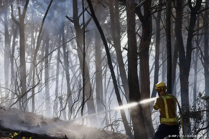 anp100726091 1