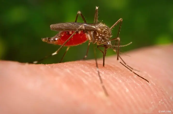 anp240926104 1