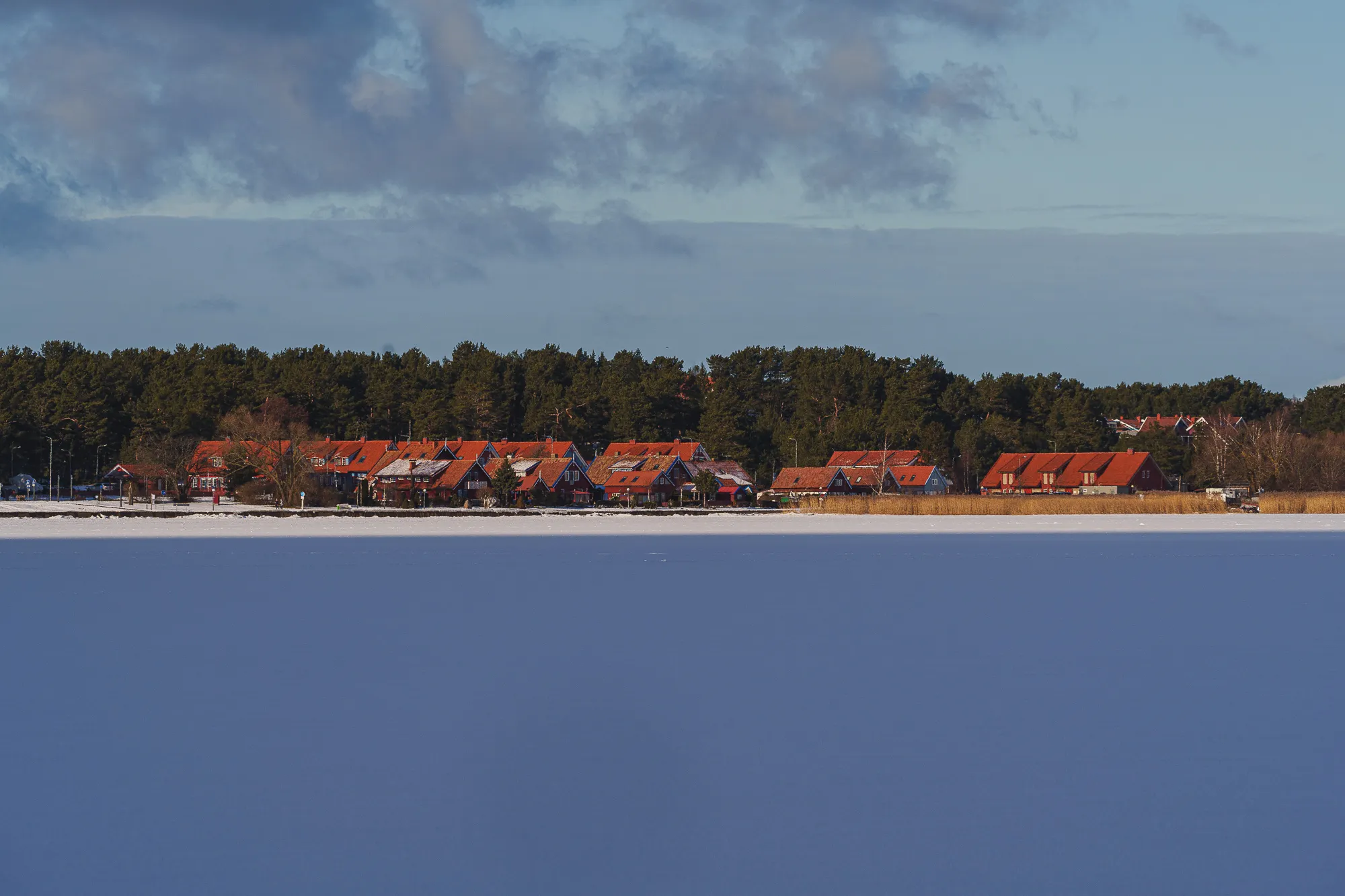 Užšalusios Kuršių marios / R. Tenio nuotr.