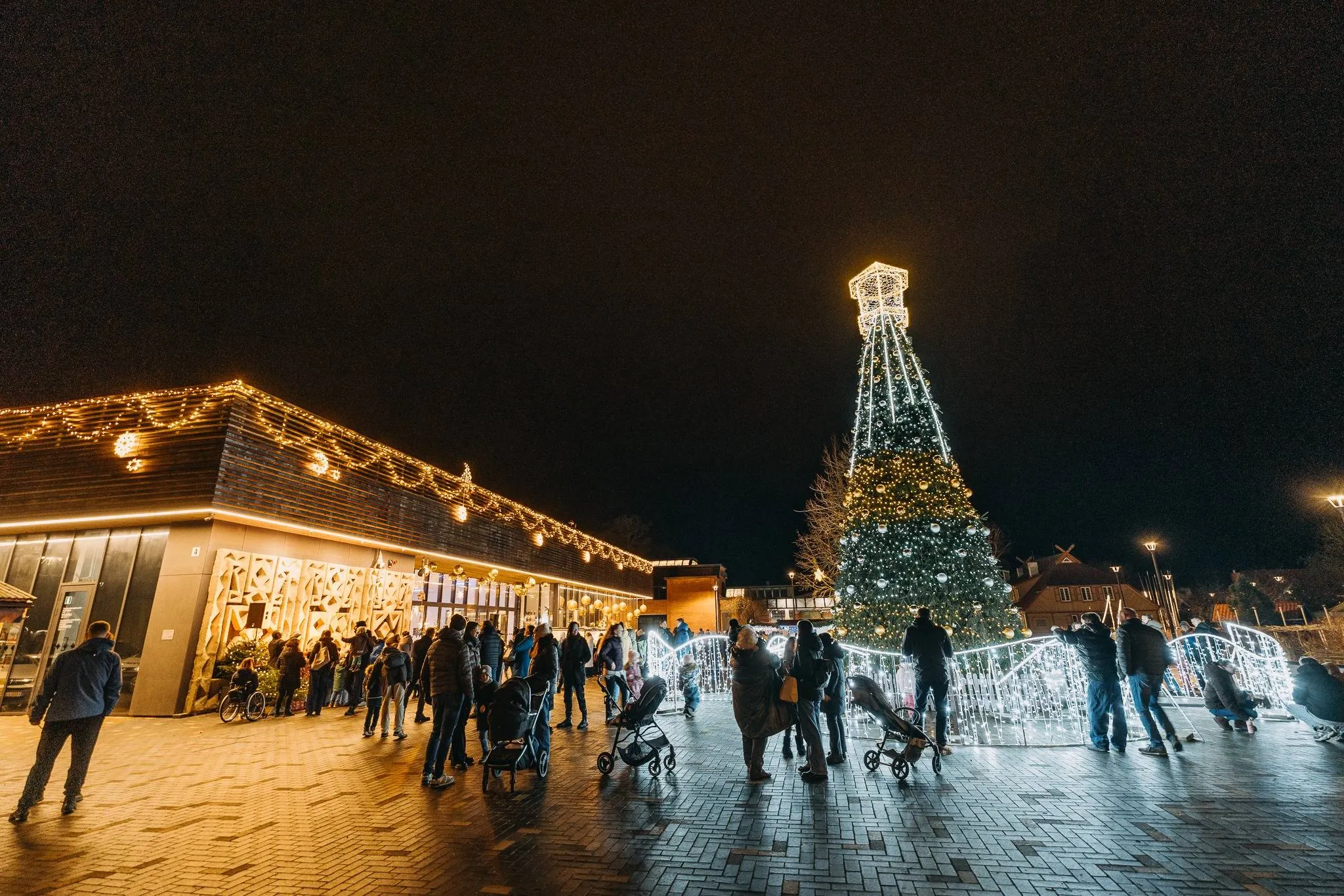 597708942_1245360717731014_1849148975026821135_n