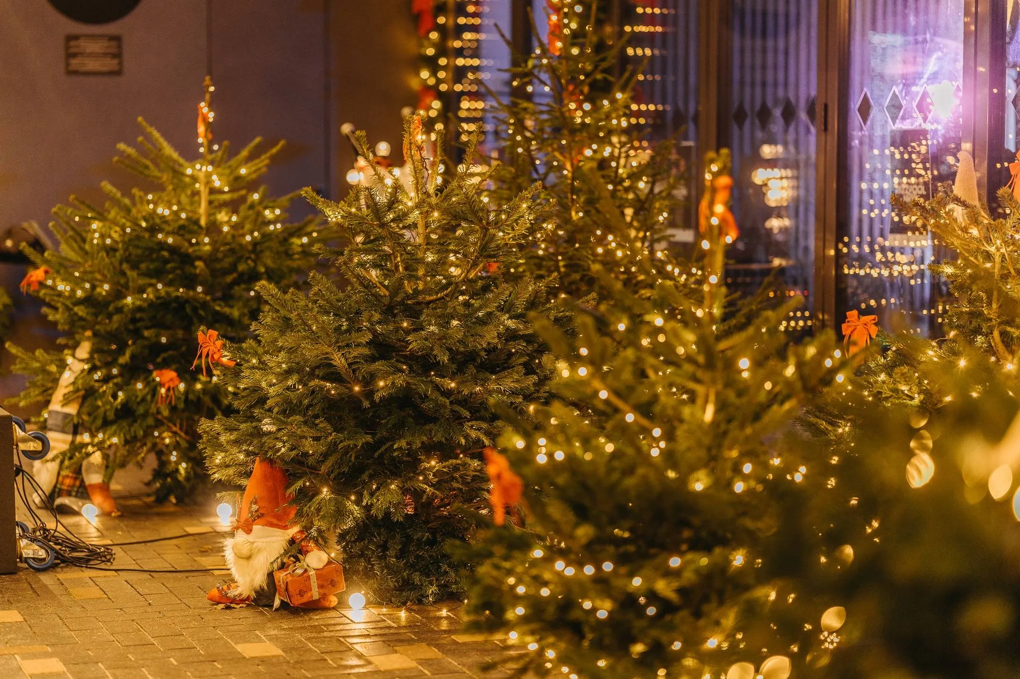 598234067_1245359451064474_7095065071945648458_n