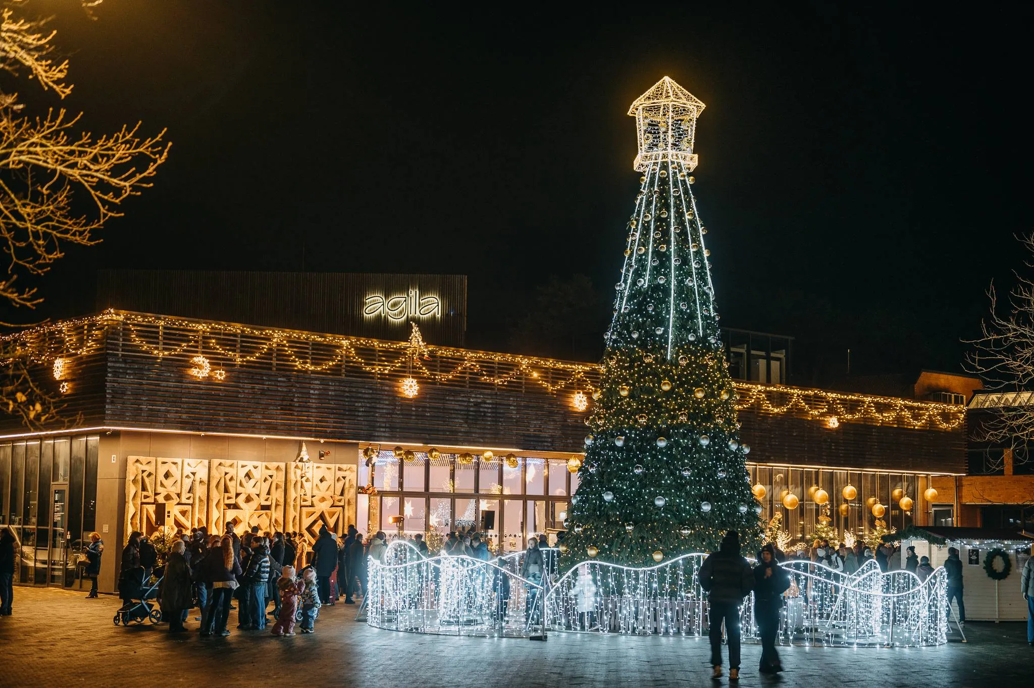 600225078_1245361581064261_5161831909991010447_n