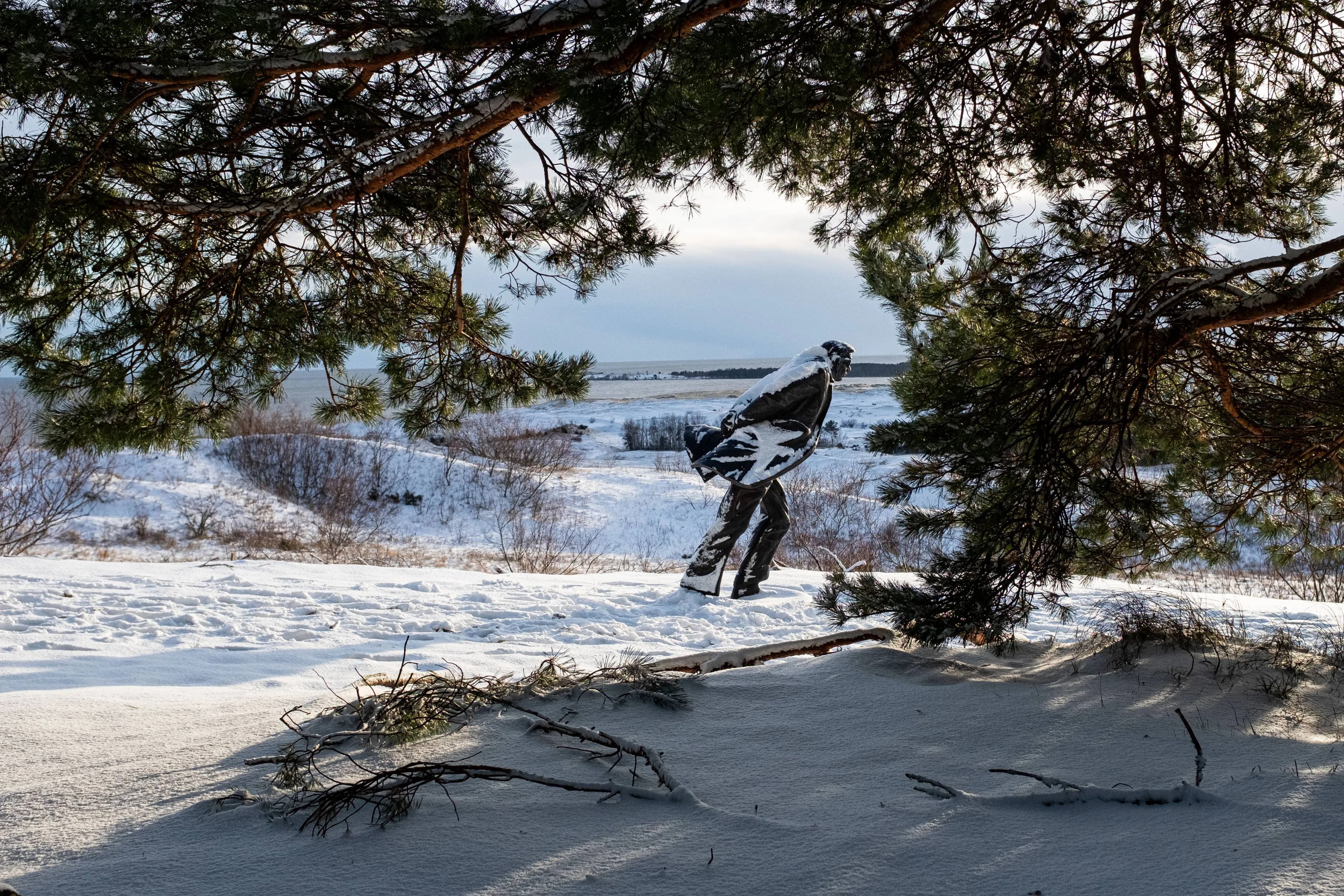 20251230PPEF2712_3012