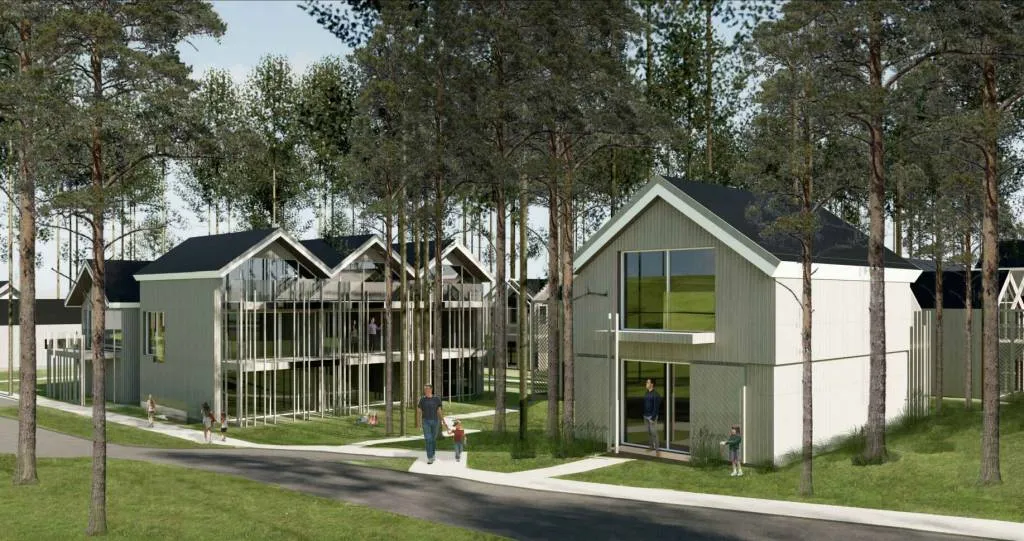 Projektas Pamario g. / Įmonės planuojamo projekto vizualizacija