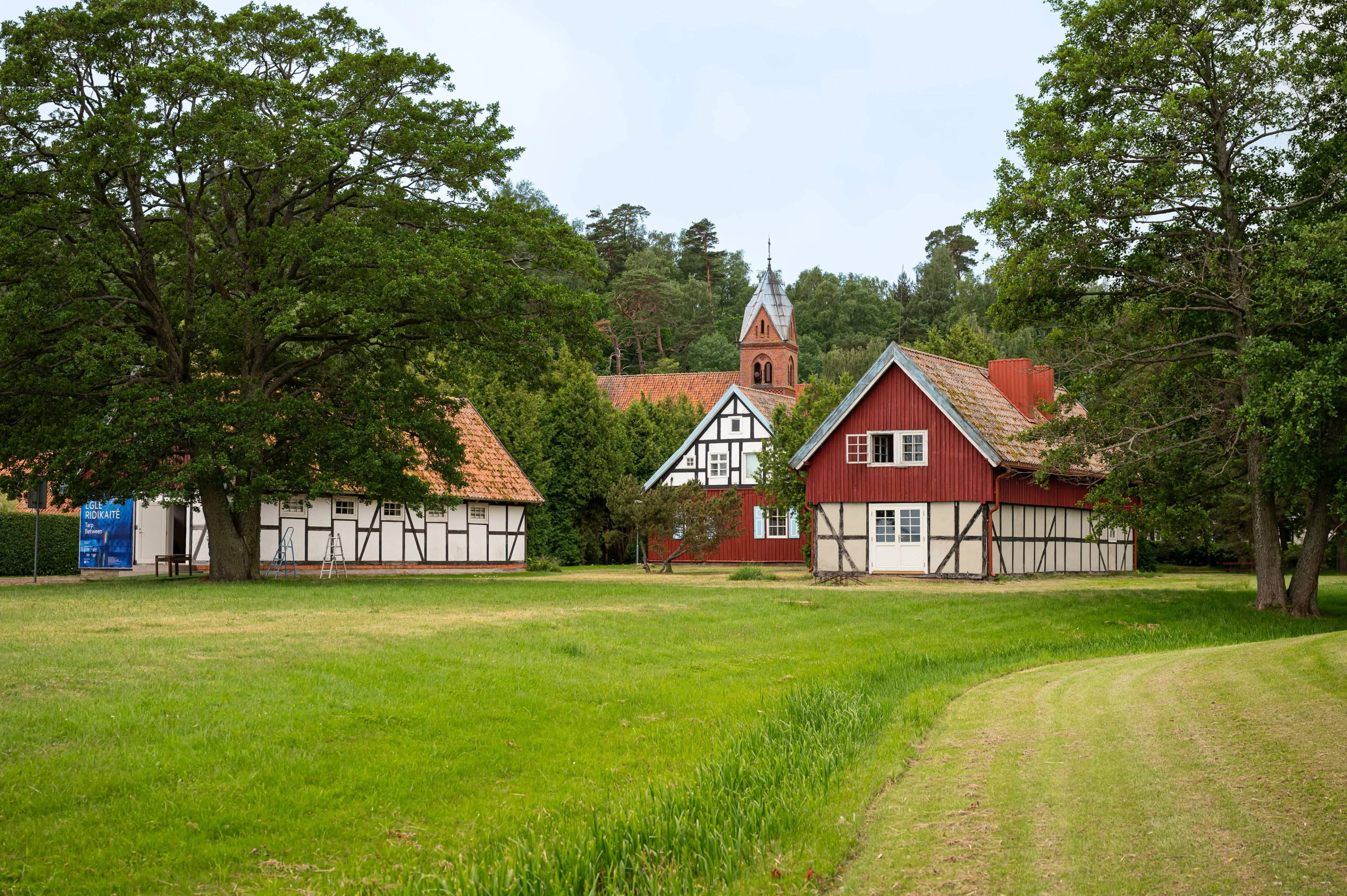 4. LNDM Pamario galerija. Gintarės Grigėnaitės-LNDM nuotr