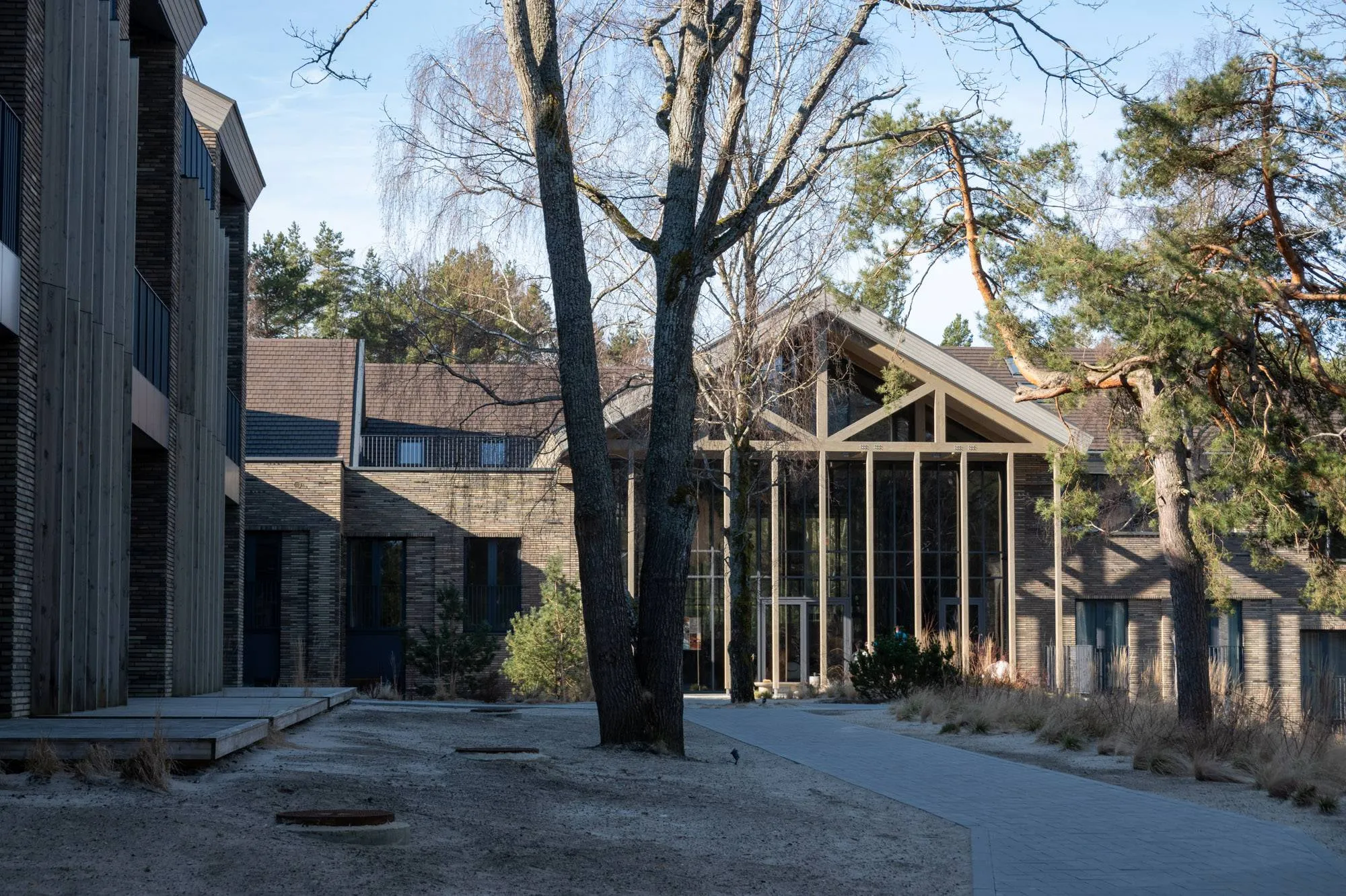 pavasaris nidoje small-9