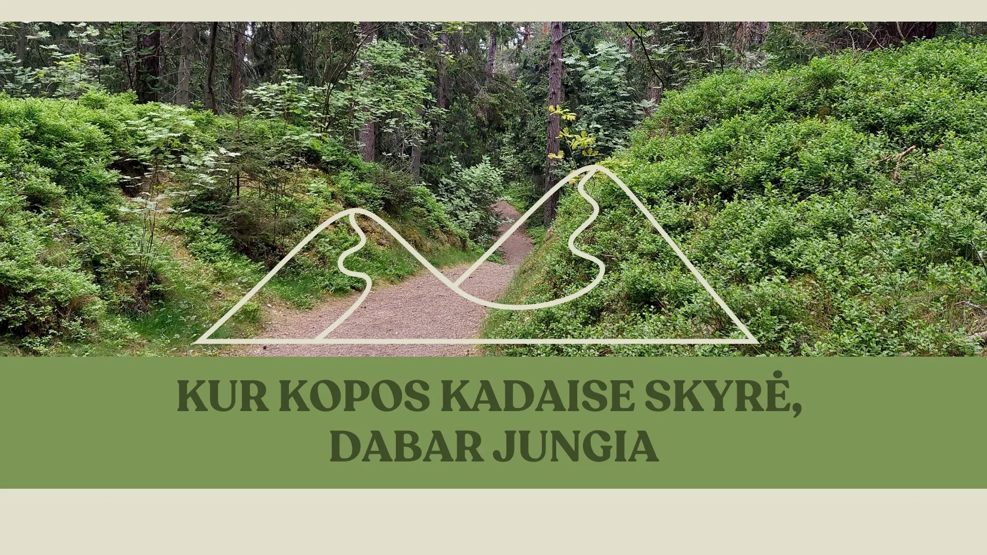 Žygis per kalnuotas parabolės kopas: Juodkrantės slėnių istorija