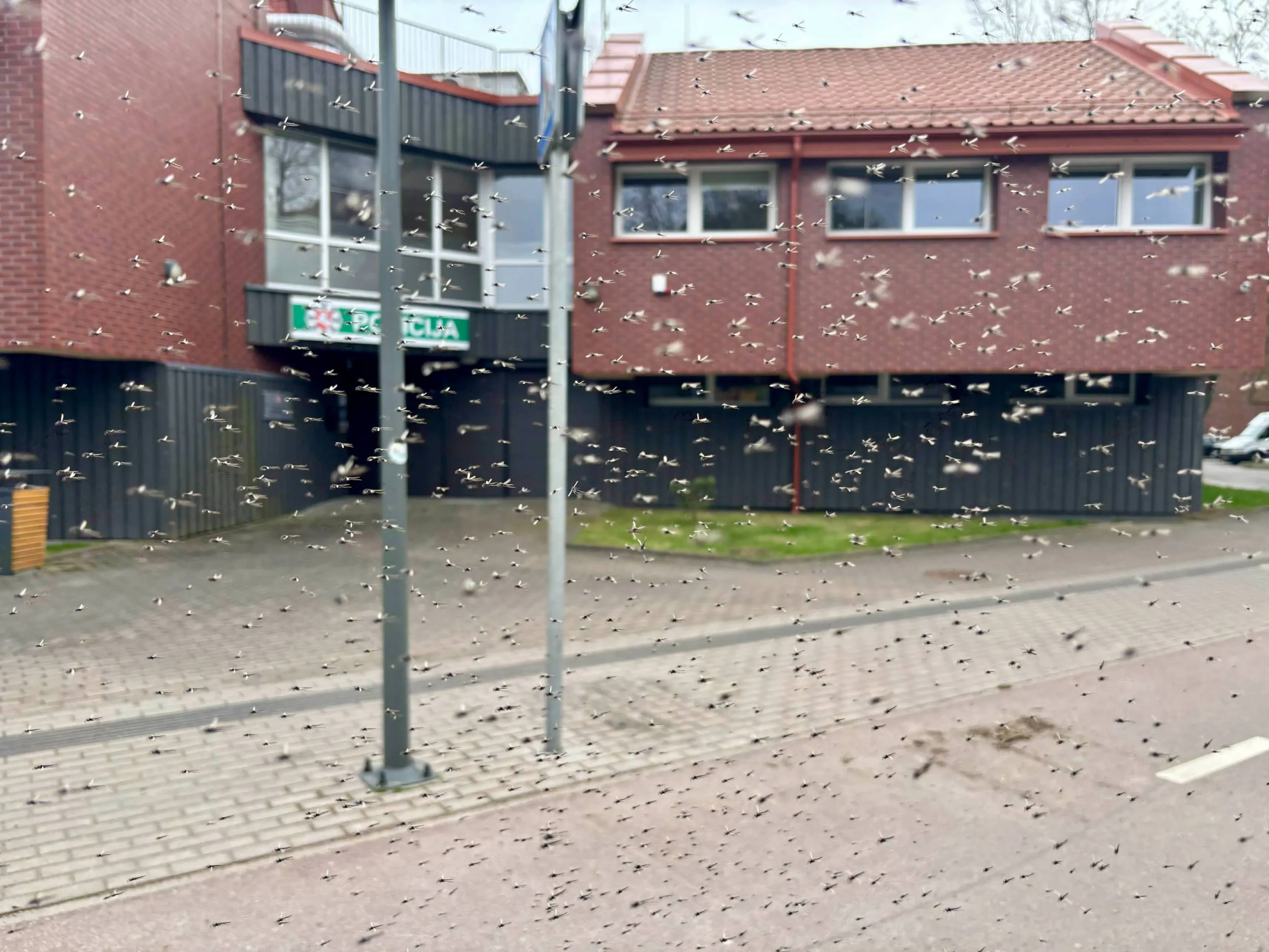att.HJ9OU0UF7bohP8NZAdlrTq0sxKcM0QIoBhc0d2yr2Pk